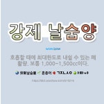 🌟강제 날숨양: 호흡할 때에 최대한도로 내쉴 수 있는 폐활량. 보통 1,000~1,500cc이다. - 표준국어대사전
