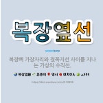 🌟복장옆선: 복장뼈 가장자리와 젖꼭지선 사이를 지나는 가상의 수직선. - 표준국어대사전