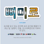 🌟뼈미로: 속귀를 담고 있는 관자뼈 속의 공간을 통틀어 이르는 말. 달팽이, 안뜰, 반고리뼈관으로 이루어져... - 표준국어대사전