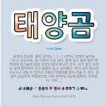 🌟태양곰: 곰과의 포유류. 몸의 길이는 1.1∼1.4미터, 어깨의 높이는 70cm 정도이며, 곰 가운데 가... - 표준국어대사전