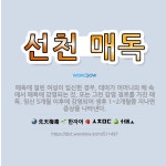 🌟선천 매독: 매독에 걸린 여성이 임신한 경우, 태아가 어머니의 배 속에서 매독에 감염되는 것. 또는 그런... - 표준국어대사전