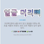 🌟얼굴 머리뼈: 머리뼈 중에 뇌를 싸지 않고 얼굴을 이루는 뼈. 호흡 계통의 부분인 코와 소화 계통의 입이... - 표준국어대사전