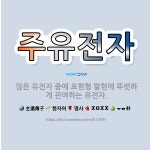 🌟주유전자: 많은 유전자 중에 표현형 발현에 뚜렷하게 관여하는 유전자. - 표준국어대사전