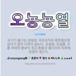 🌟오뇽뇽열: 모기가 옮기는 전염병. 아프리카의 풍토병으로 갑자기 열이 나면서 앓는다. 관절염, 관절통, 두... - 표준국어대사전