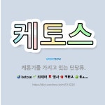 🌟케토스: 케톤기를 가지고 있는 단당류. - 표준국어대사전