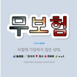 🌟무보험: 보험에 가입하지 않은 상태. - 표준국어대사전