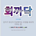 🌟회까닥: 갑자기 정신이 이상해지는 모양을 속되게 이르는 말. - 표준국어대사전