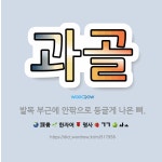 🌟과골: 발목 부근에 안팎으로 둥글게 나온 뼈. - 표준국어대사전