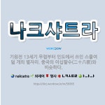 🌟나크샤트라: 기원전 13세기 무렵부터 인도에서 쓰인 스물여덟 개의 별자리. 중국의 이십팔수(二十八宿)와 ... - 표준국어대사전