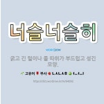 🌟너슬너슬히: 굵고 긴 털이나 풀 따위가 부드럽고 성긴 모양. - 표준국어대사전