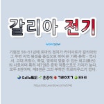 🌟갈리아 전기: 기원전 58~51년에 로마의 정치가 카이사르가 갈리아와 그 주변 지역 원정을 중심으로 하여... - 표준국어대사전