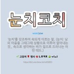 🌟눈치코치: ‘눈치’를 강조하여 속되게 이르는 말. (눈치: 남의 마음을 그때그때 상황으로 미루어 알아내는... - 표준국어대사전