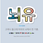 🌟뇌유: 고래나 돌고래 따위의 뇌에서 짠 기름. - 표준국어대사전