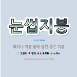 🌟눈썹지붕: 벽이나 지붕 끝에 물린 좁은 지붕. - 표준국어대사전