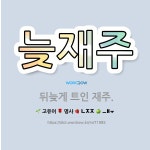 🌟늦재주: 뒤늦게 트인 재주. - 표준국어대사전