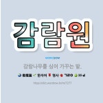 🌟감람원: 감람나무를 심어 가꾸는 밭. - 표준국어대사전