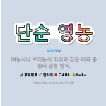 🌟단순 영농: 벼농사나 보리농사 따위와 같은 미곡 중심의 영농 방식. - 표준국어대사전