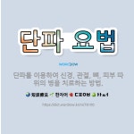 🌟단파 요법: 단파를 이용하여 신경, 관절, 뼈, 피부 따위의 병을 치료하는 방법. - 표준국어대사전