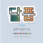 🌟달품: 달뿌리풀의 꽃. - 표준국어대사전
