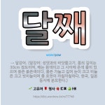 🌟달째: → 달강어. (달강어: 성댓과의 바닷물고기. 몸의 길이는 30cm 정도이며, 배는 흰색이고 그 사... - 표준국어대사전