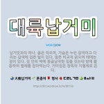 🌟대륙납거미: 납거밋과의 하나. 몸은 작으며, 가슴은 누런 갈색이고 다리는 갈색에 검은 털이 있다. 발은 ... - 표준국어대사전