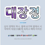 🌟대장경: 십이 경맥의 하나. 둘째 손가락 끝에서 시작하여 대장(大腸)에 속하고 폐에 이어진다. - 표준국어대사전