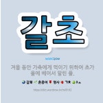 🌟갈초: 겨울 동안 가축에게 먹이기 위하여 초가을에 베어서 말린 풀. - 표준국어대사전