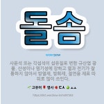 🌟돌솜: 사문석 또는 각섬석이 섬유질로 변한 규산염 광물. 산성이나 염기성에 강하고 열과 전기가 잘 통하지... - 표준국어대사전