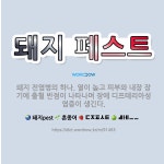 🌟돼지 페스트: 돼지 전염병의 하나. 열이 높고 피부와 내장 장기에 출혈 반점이 나타나며 장에 디프테리아성... - 표준국어대사전