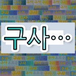 국어사전에서 💕구사로 시작하는 단어 중에서, 한자 師 (스승 사) 관련 단어는 3개