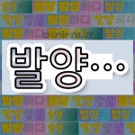 국어사전에서 💕발양으로 시작하는 단어 중에서, 한자 陽 (볕 양) 관련 단어는 3개