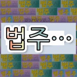 국어사전에서 💕법주로 시작하는 단어는 9개