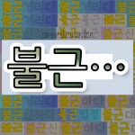 국어사전에서 💕불근으로 시작하는 단어 중에서, 한자 近 (가까울 근, 어조사 기) 관련 단어는 4개