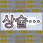 국어사전에서 💕상술로 시작하는 단어 중에서, 한자 述 (지을 술) 관련 단어는 4개