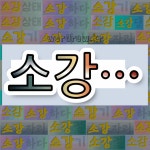 국어사전에서 💕소강으로 시작하는 단어는 11개