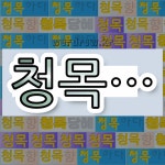 국어사전에서 💕청목으로 시작하는 단어 중에서, 한자 靑 (푸를 청) 관련 단어는 3개