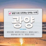 국어사전에서 💕광양으로 시작하는 단어는 10개