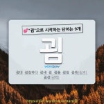 국어사전에서 💕굄으로 시작하는 단어는 9개