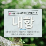 국어사전에서 💕내항으로 시작하는 단어는 11개