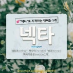 국어사전에서 💕넥타로 시작하는 단어는 5개