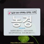 국어사전에서 💕농경으로 시작하는 단어는 10개