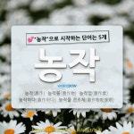 국어사전에서 💕농작으로 시작하는 단어는 5개