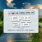 국어사전에서 💕달품으로 시작하는 단어는 5개