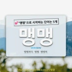 국어사전에서 💕맹맹으로 시작하는 단어는 5개