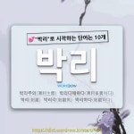 국어사전에서 💕박리로 시작하는 단어는 10개