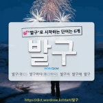 국어사전에서 💕발구로 시작하는 단어는 6개