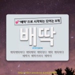 국어사전에서 💕배딱으로 시작하는 단어는 8개
