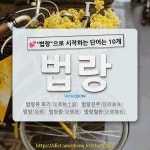 국어사전에서 💕법랑으로 시작하는 단어는 10개