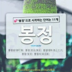 국어사전에서 💕봉정으로 시작하는 단어는 11개