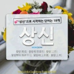 국어사전에서 💕상신으로 시작하는 단어는 18개